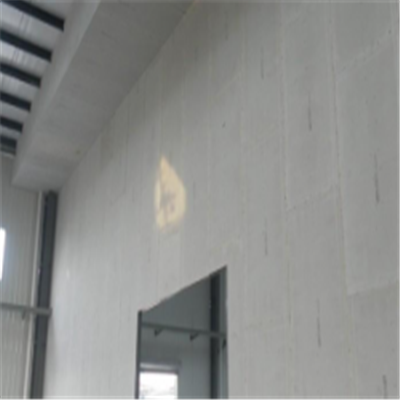 东源宁波ALC板|EPS加气板隔墙与混凝土整浇联接的实验研讨